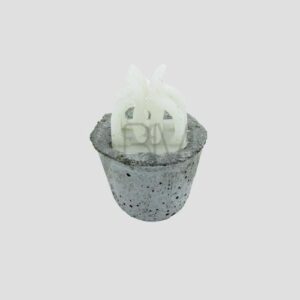 Beton Afstandhouder Rond met Clip – 40 mm Betondekking – 220 stuks | Voor Zichtwerk